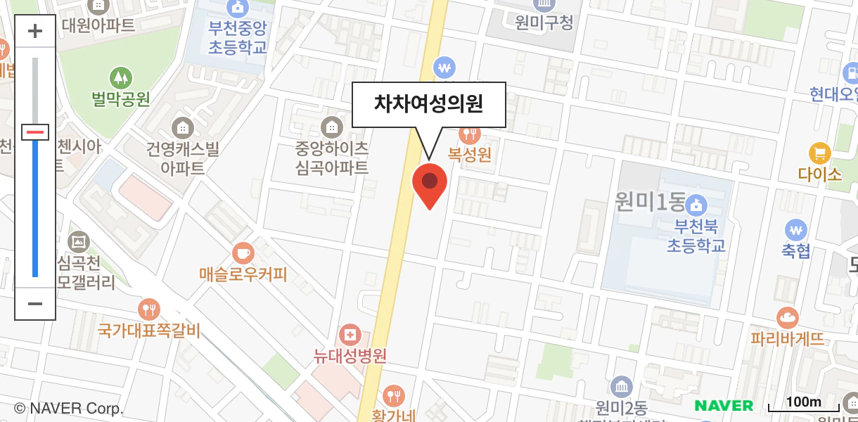 주수별 검사